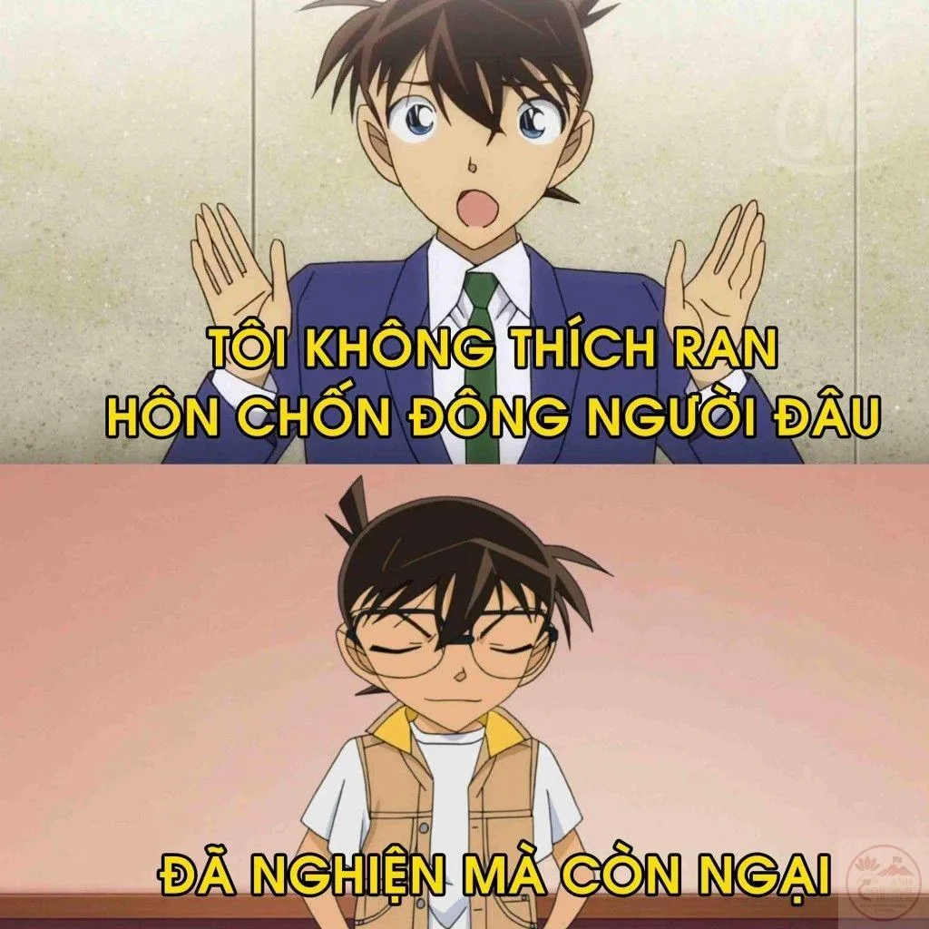 ảnh chế conan hài hước
