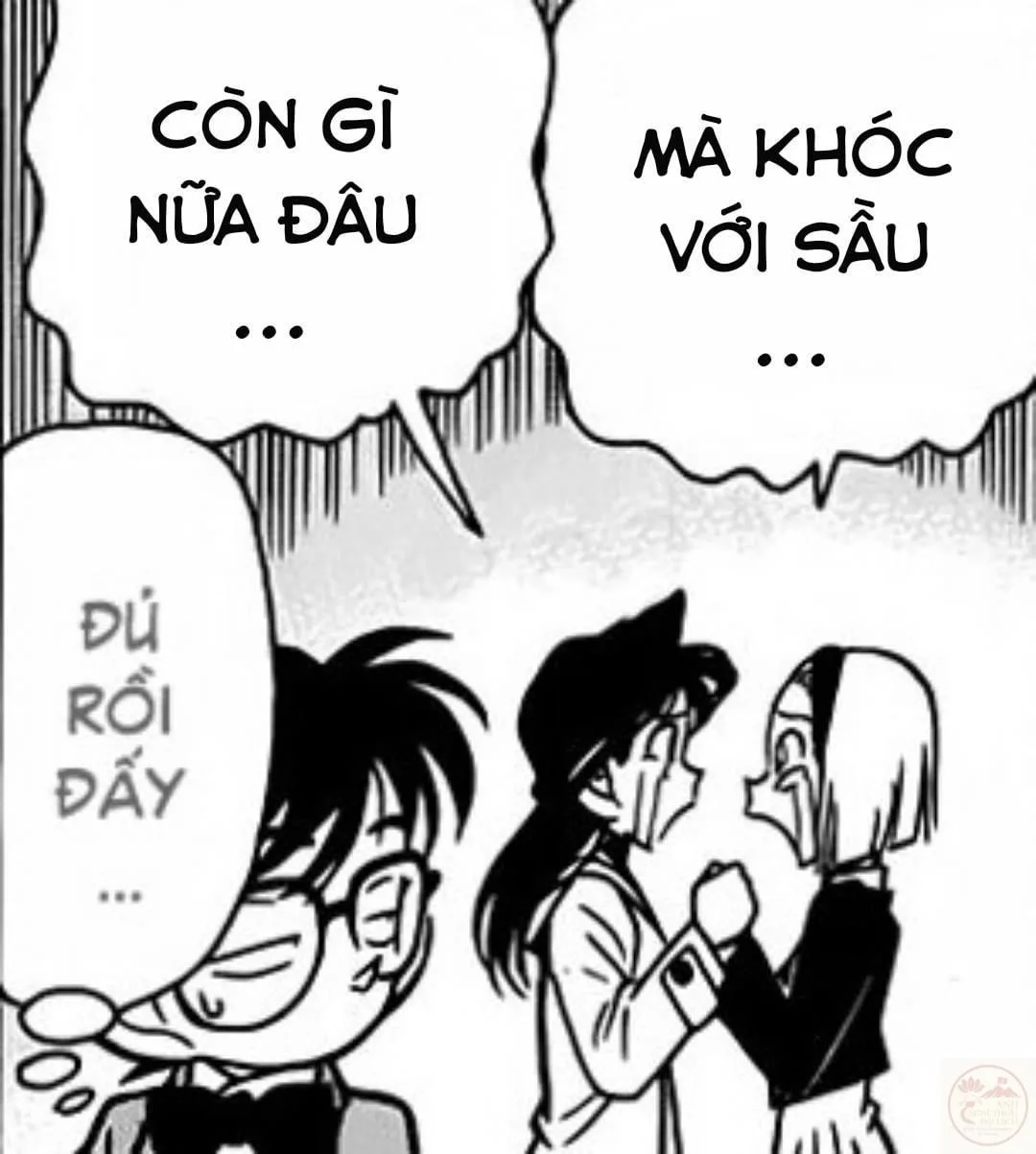 ảnh chế conan hài hước