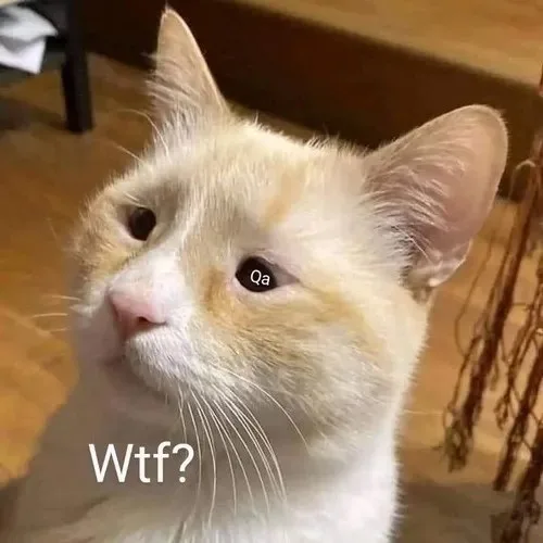 confused meme