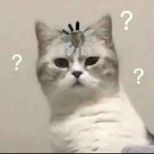 confused meme