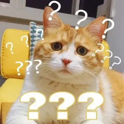 confused meme