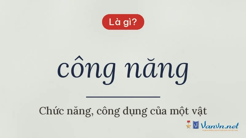 công năng là gì