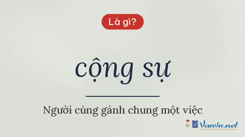 cộng sự là gì