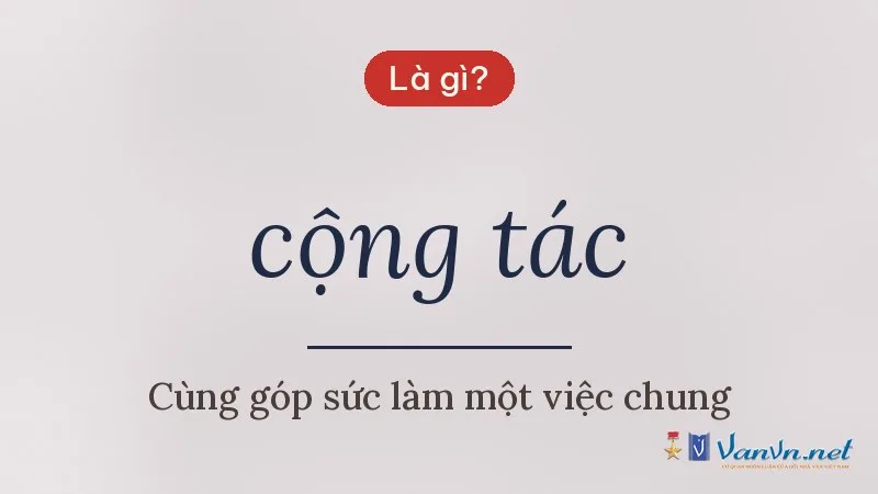 cộng tác là gì