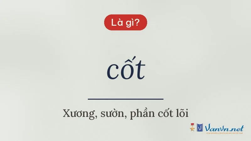 cốt là gì