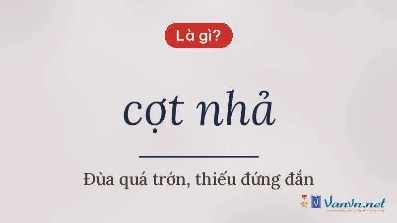 cợt nhả là gì