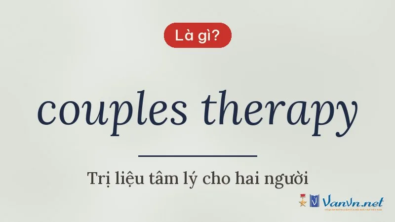 couples therapy là gì