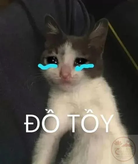 cringe meme
