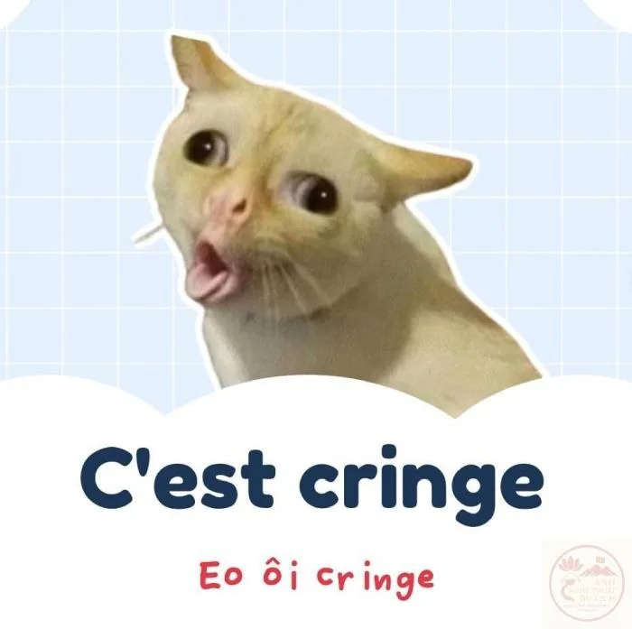 cringe meme