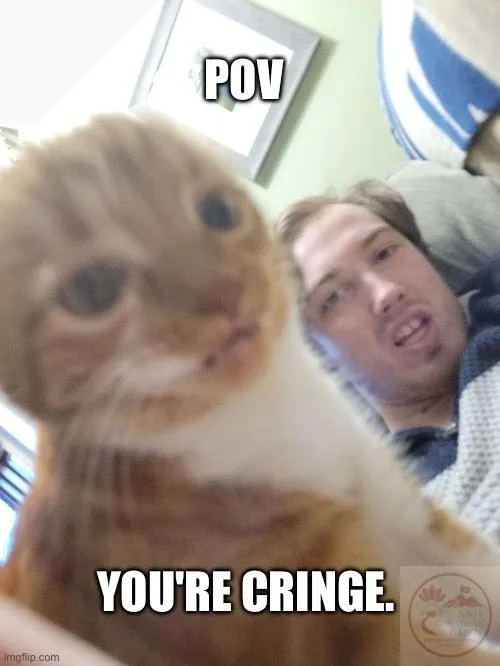 cringe meme