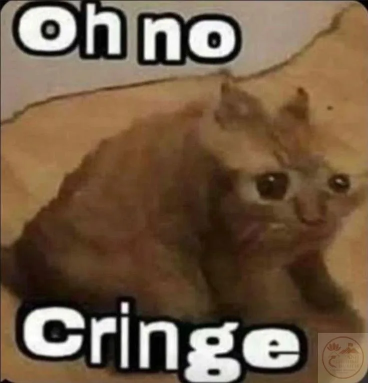 cringe meme