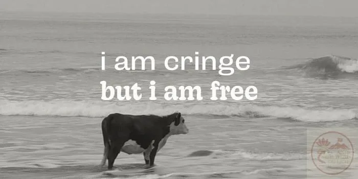 cringe meme