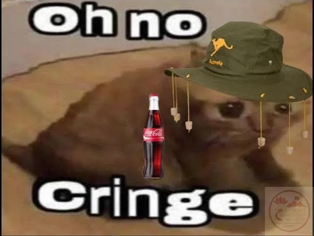 cringe meme