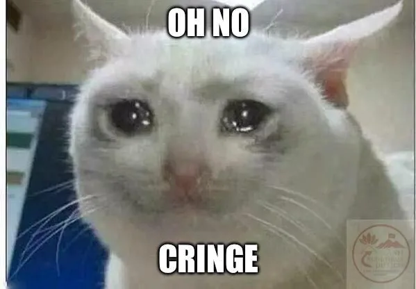 cringe meme