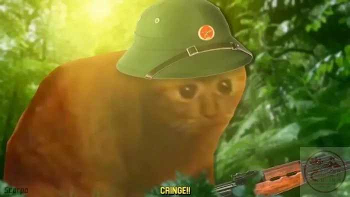 cringe meme