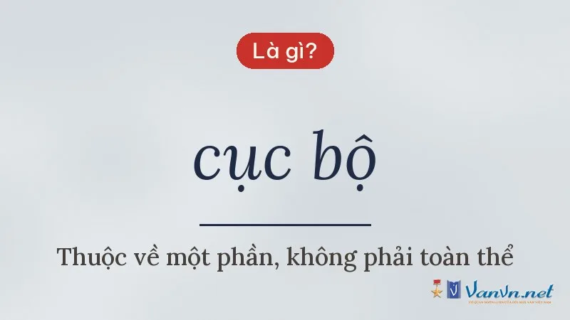 cục bộ là gì