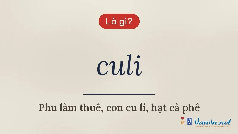 culi là gì