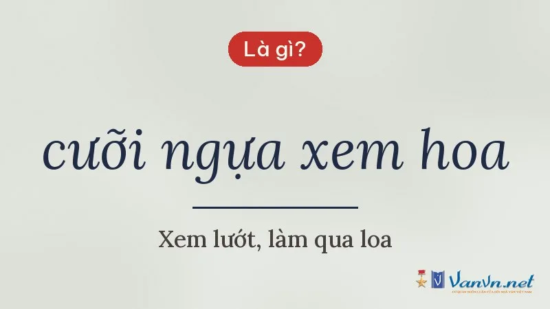 cưỡi ngựa xem hoa là gì