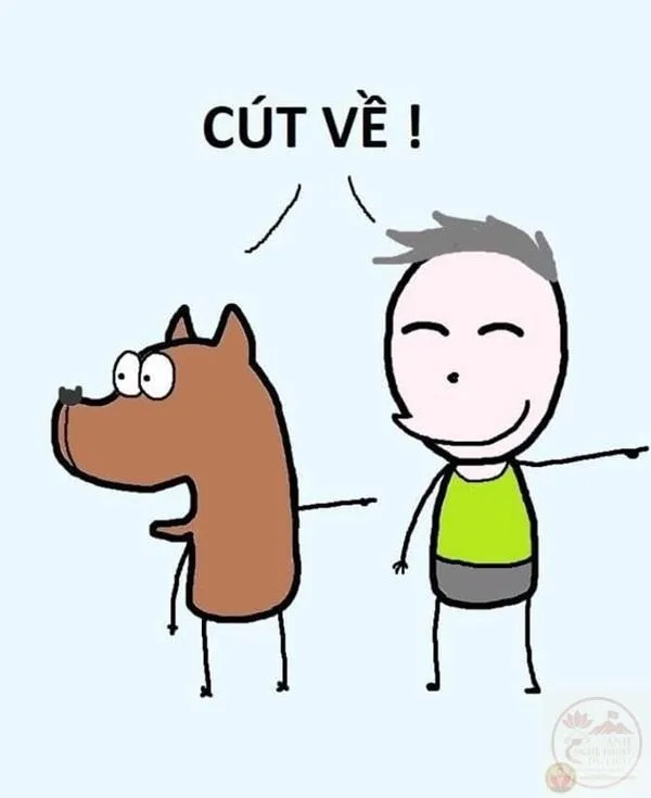 meme cút ra ngoài