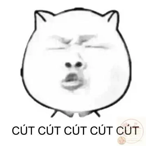 cút meme