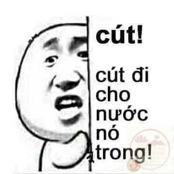 meme biến