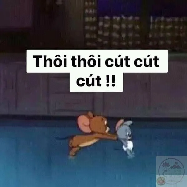 cút meme