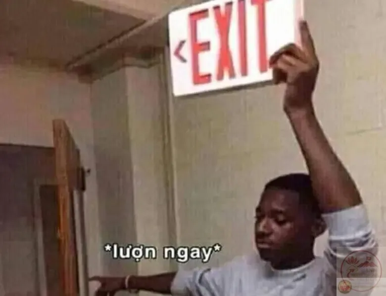 meme biến