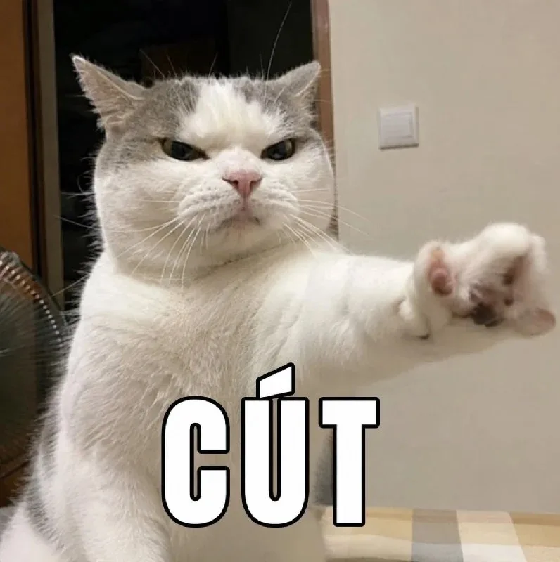 cút meme