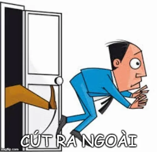meme cút ra ngoài