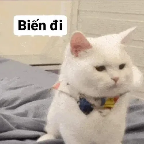 meme biến