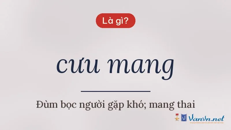 cưu mang là gì