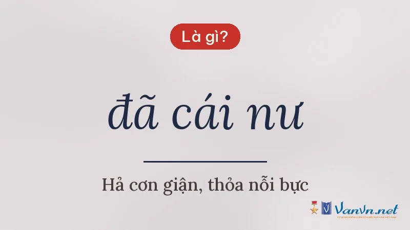 đã cái nư là gì