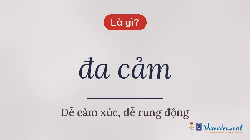 đa cảm là gì