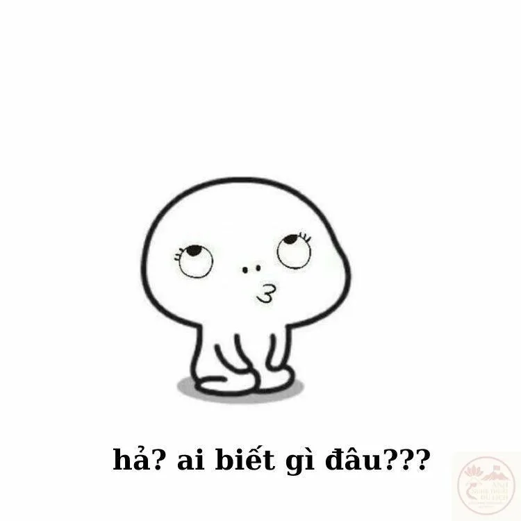 meme ai biết gì đâu