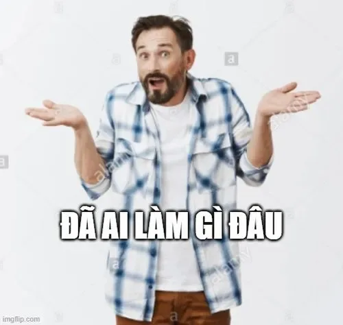 meme đã làm gì đâu