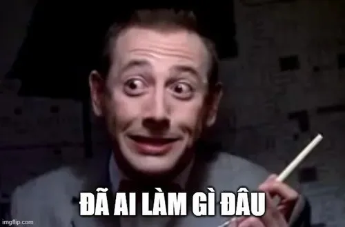 meme đã làm gì đâu