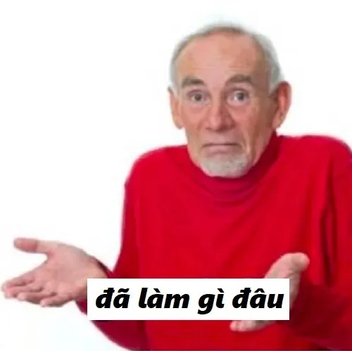 meme đã làm gì đâu