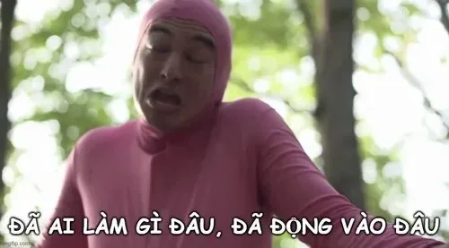 đã làm gì đâu đã chạm vào đâu meme