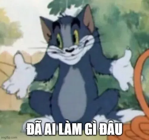 đã làm gì đâu meme