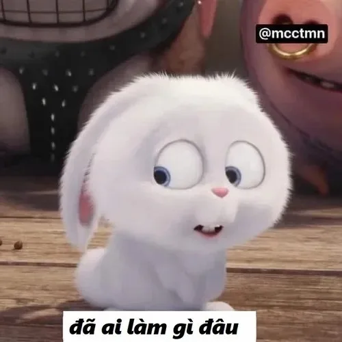 đã làm gì đâu meme