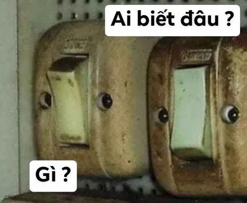 meme ai biết gì đâu