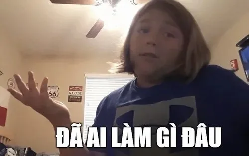 meme đã làm gì đâu