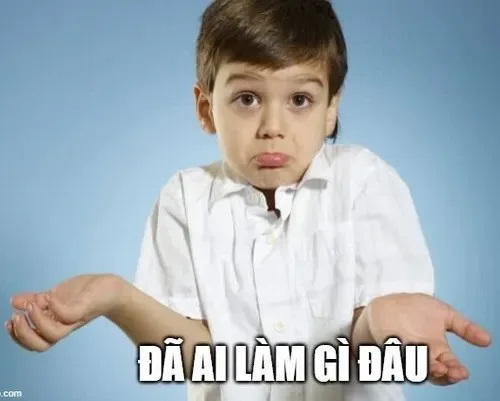 meme đã làm gì đâu