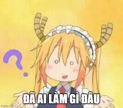đã làm gì đâu meme