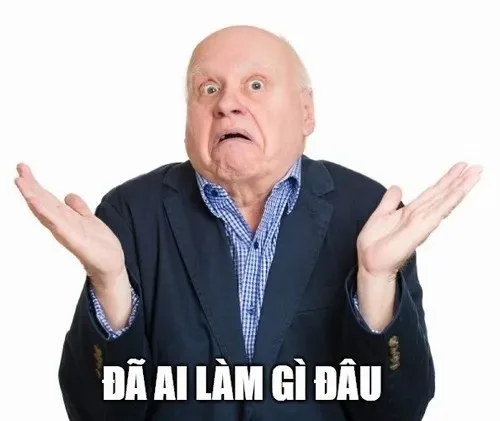 meme đã làm gì đâu