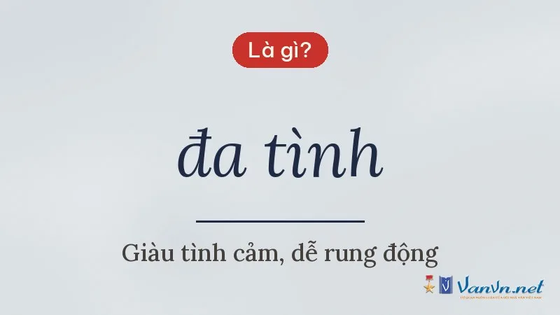 đa tình là gì