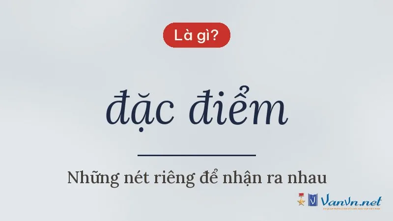 đặc điểm là gì