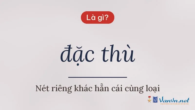 đặc thù là gì