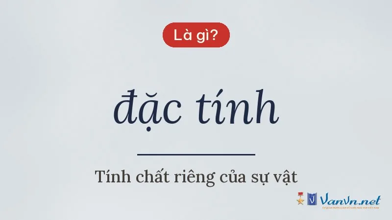 đặc tính là gì
