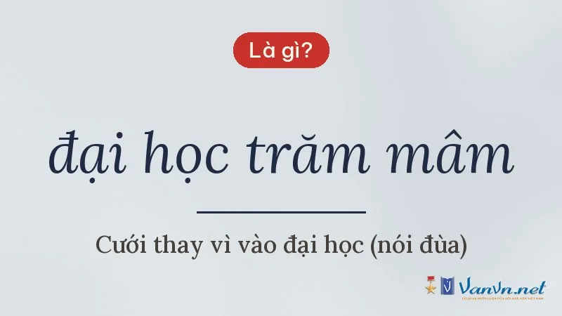 đại học trăm mâm là gì